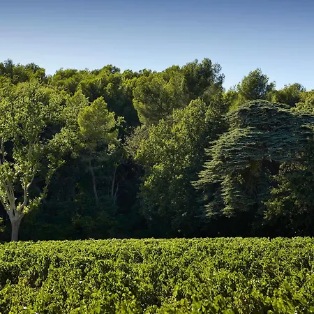 Domaine De Fontenille