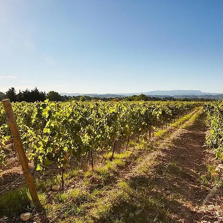 Szálloda Domaine De Fontenille Lauris